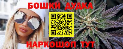 сатива Донецк